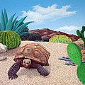 Desert Tortoise by Snake Jagger Desert Tortoise by Snake Jagger