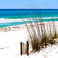 Destin, Florida Photograph by Monique Wegmueller Destin, Florida Photograph by Monique Wegmueller