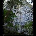 Determination Photograph by Kirt Tisdale Determination Photograph by Kirt Tisdale