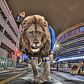 Detroit Lions at Ford Field by Nicholas Grunas Detroit Lions at Ford Field by Nicholas Grunas