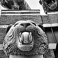 Detroit Tigers Comerica Park Tiger Statues Canvas Print / Canvas Art by ...