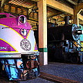 Diesel and Steam Photograph by Rodney Lee Williams Diesel and Steam Photograph by Rodney Lee Williams