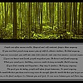 Do It Anyway Bamboo Forest Photograph by David Dehner Do It Anyway Bamboo Forest Photograph by David Dehner