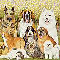 Dogs In May by Pat Scott Dogs In May by Pat Scott