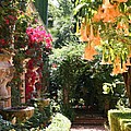 Dolphinfountain And Flowers - France by Christiane Schulze Art And Photography Dolphinfountain And Flowers - France by Christiane Schulze Art And Photography