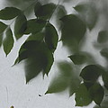 Don't Leaf Me by Heather Gallup Don't Leaf Me by Heather Gallup