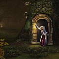 Door to the Underworld by Bob Nolin