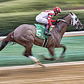 Down the Stretch - Horse Racing - Jockey Photograph by Jason Politte Down the Stretch - Horse Racing - Jockey Photograph by Jason Politte