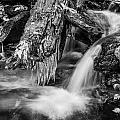 Dragons Teeth Icicles Waterfall Great Smoky Mountains Painted Bw by Rich Franco Dragons Teeth Icicles Waterfall Great Smoky Mountains Painted Bw by Rich Franco