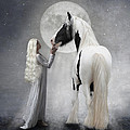 Dreams Of White by Terry Kirkland Cook
