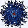 Dual Citizenship 1 by First Star Art Dual Citizenship 1 by First Star Art