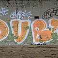 Dubs Photograph by Donna Blackhall