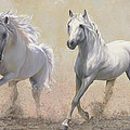 Due Cavalli Painting by Guido Borelli Due Cavalli Painting by Guido Borelli