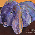 Duffy by Pat Saunders-White Duffy by Pat Saunders-White