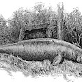 Dugong, Sea-cow by British Library Dugong, Sea-cow by British Library