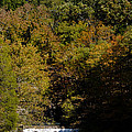 Dunbar Cave and Swan Lake Photograph by Ed Gleichman Dunbar Cave and Swan Lake Photograph by Ed Gleichman