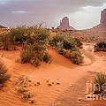 Dusty Trails Photograph by Jim Garrison Dusty Trails Photograph by Jim Garrison