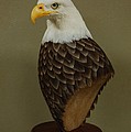 First Strike - Bald Eagle Sculpture by Jim Day