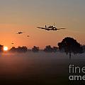 Early Birds Digital Art by Airpower Art Early Birds Digital Art by Airpower Art