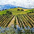 Early Crop by Allan P Friedlander Early Crop by Allan P Friedlander