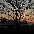 Early Morning View From The Farm Photograph by George Pedro Early Morning View From The Farm Photograph by George Pedro