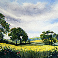 Eastfields from Woldgate Painting by Glenn Marshall Eastfields from Woldgate Painting by Glenn Marshall