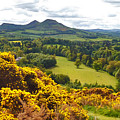 Eildon Hill - three peaks and a valley Photograph by Elena Perelman Eildon Hill - three peaks and a valley Photograph by Elena Perelman