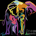 Elephant in colour Painting by Go Van Kampen Elephant in colour Painting by Go Van Kampen