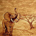 Elephant Majesty Original Coffee Painting by Georgeta Blanaru Elephant Majesty Original Coffee Painting by Georgeta Blanaru
