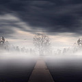Emergence Photograph by Lourry Legarde Emergence Photograph by Lourry Legarde