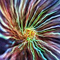 Energy - Abstract by Marianna Mills Energy - Abstract by Marianna Mills