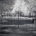 Entry to Salem Willows Photograph by Jeff Folger Entry to Salem Willows Photograph by Jeff Folger