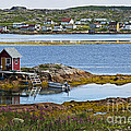 Euphoric vista... by Nina Stavlund