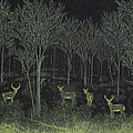 Evening Along The Animas Painting by Doug Miller Evening Along The Animas Painting by Doug Miller