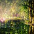 Fairy in Pink bubble in Serenity Forest Digital Art by Lilia D Fairy in Pink bubble in Serenity Forest Digital Art by Lilia D