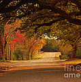 Fall Along A Country Road Photograph by Kathy Baccari Fall Along A Country Road Photograph by Kathy Baccari