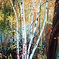 Fall Birch Trees by Laura Tasheiko Fall Birch Trees by Laura Tasheiko