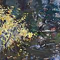 Fall By The Pond by Ylli Haruni Fall By The Pond by Ylli Haruni
