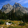 Fall Cascade Canyon Photograph by Raymond Salani III Fall Cascade Canyon Photograph by Raymond Salani III