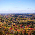 Fall Colors Photograph by Gwen Gibson Fall Colors Photograph by Gwen Gibson