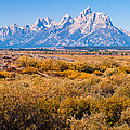 Fall Colors in the Tetons Photograph by Lars Lentz Fall Colors in the Tetons Photograph by Lars Lentz