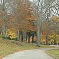 Autumn Day in NE Ohio Photograph by Valerie Collins Autumn Day in NE Ohio Photograph by Valerie Collins