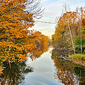 Fall on the Red Cedar Photograph by Lars Lentz Fall on the Red Cedar Photograph by Lars Lentz