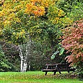 Fall Picnic by The Pilgrim