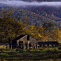 Fall Sunrise Old Barn at 21/43 Intersection by Michael Dougherty