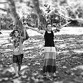 Falling Leaves Photograph by Diana Haronis Falling Leaves Photograph by Diana Haronis