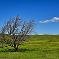Fare Well by Skip Hunt Fare Well by Skip Hunt