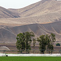 Farm Irrigation Photograph by Science Photo Library