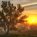 Father's day Sunrise by Bruce Morrison Father's day Sunrise by Bruce Morrison