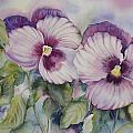 Favourite Garden Pansies by Heather Gallup Favourite Garden Pansies by Heather Gallup